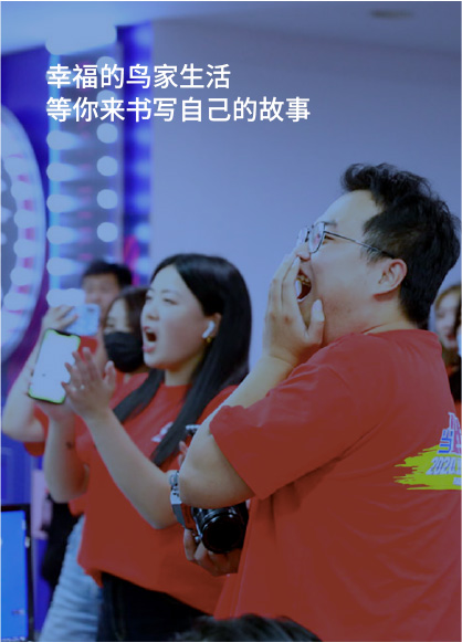 幸福的鸟家生活，等你来书写自己的故事